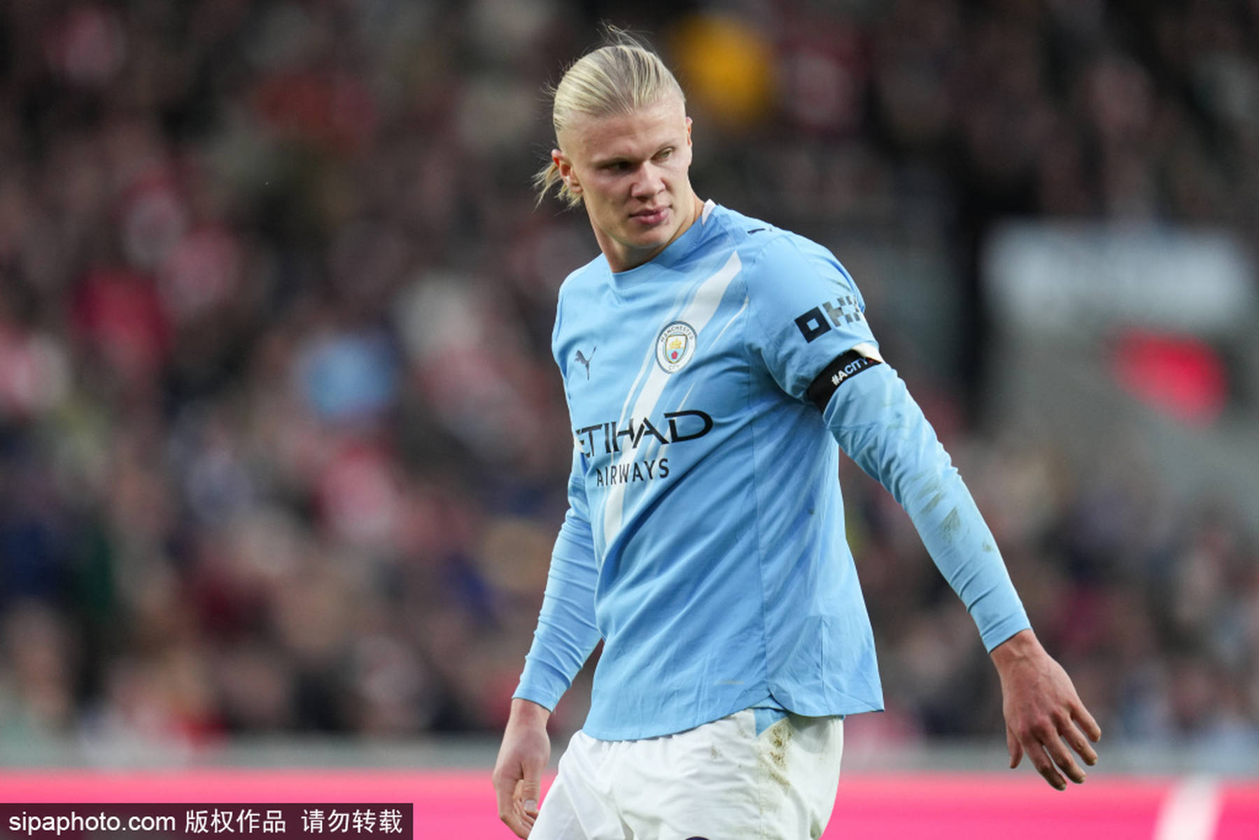 生态链条闭 生态链条闭