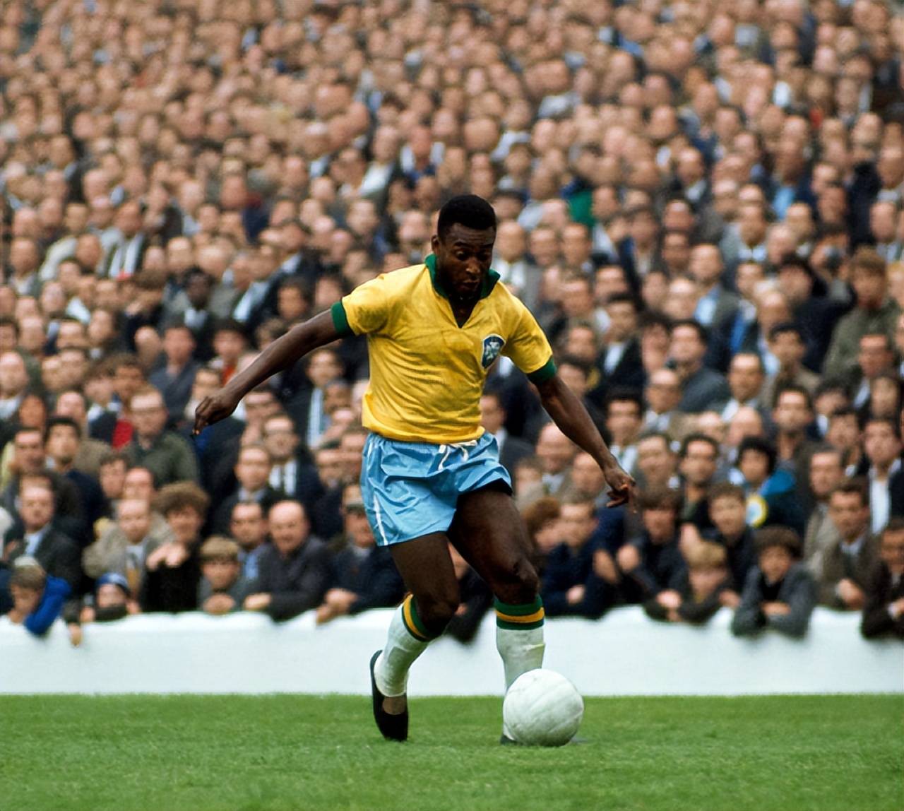 样的策略骨 样的策略骨