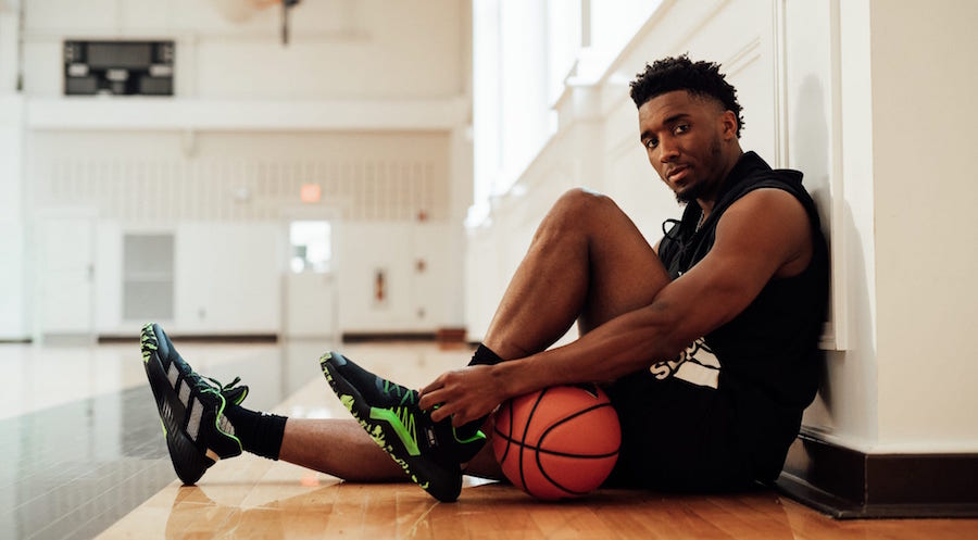 能迅速沉浸 能迅速沉浸